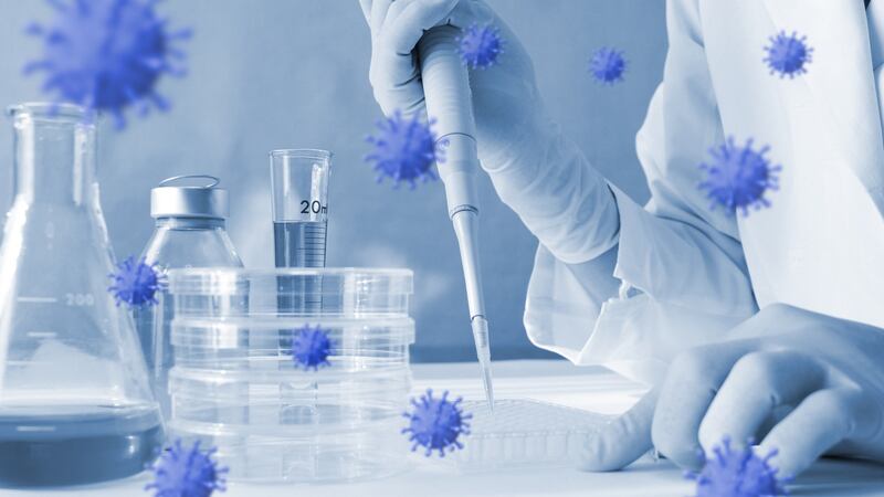 Trinity College virologist Dr Kim Roberts warns: ‘We have to remember how quickly it goes from being an isolated infection to an outbreak that is overwhelming a healthcare system . . . only a matter of weeks.’ Photograph: iStock