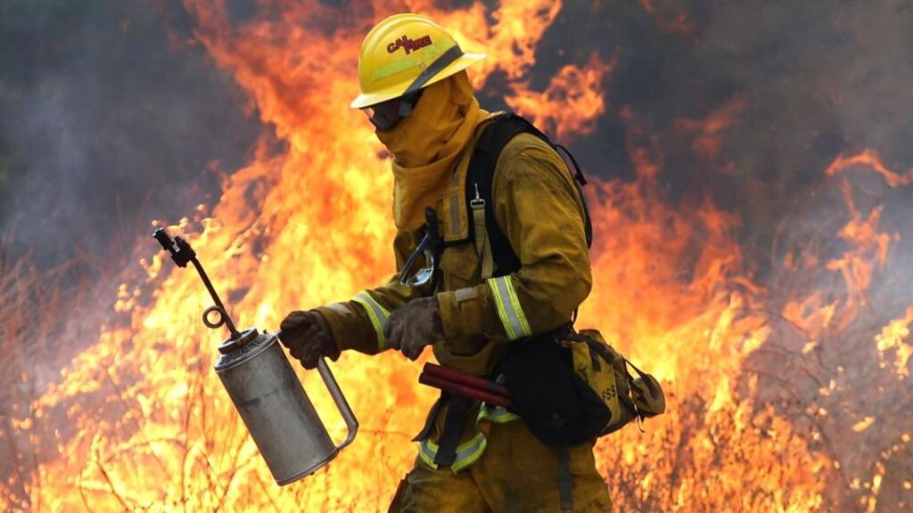 A Cal Fire firefighter moves away from a tall flame as he uses a drip torch to burn dry grass during a backfire operation to head off the Rocky Fire. Photograph: Justin Sullivan/Getty Images