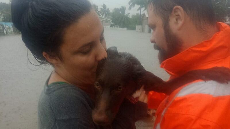 Their nine-month-old Australian Kelpie pup was too little to walk through the flood water.