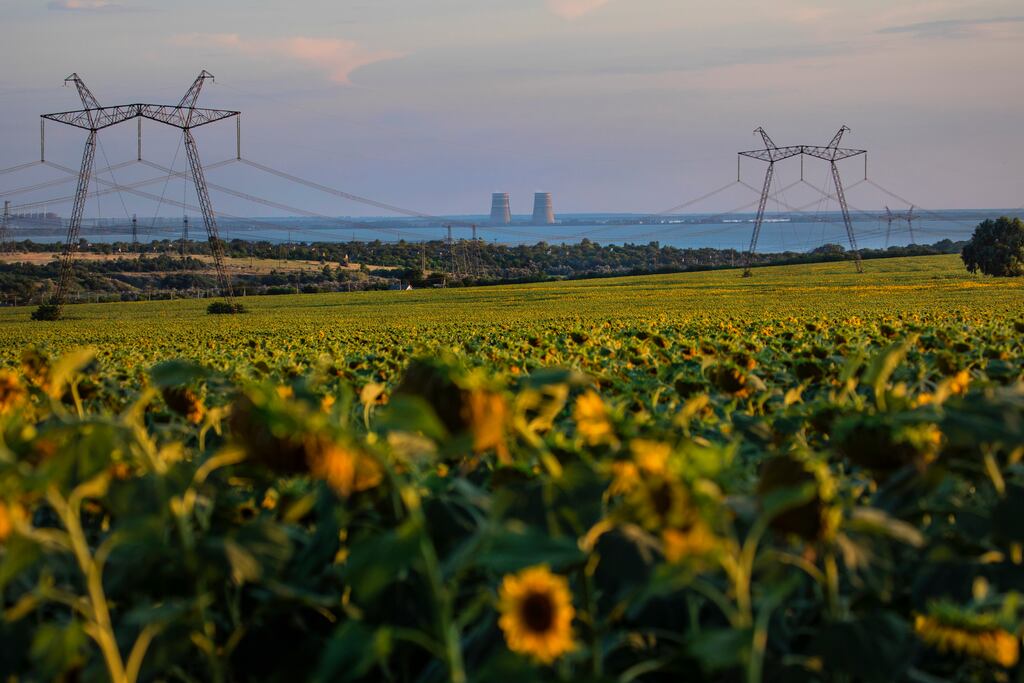Across the Dnieper River, the Zaporizhzhia nuclear power plant can be seen from fields in Ukrainian-held territory near Nikopol. Photograph: David Guttenfelder/The New York Times