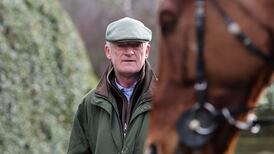 It’s For Me tops another strong Cheltenham Bumper entry for Willie Mullins