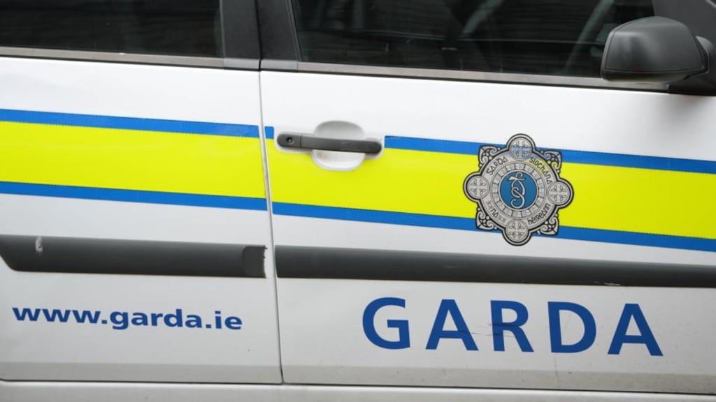 Mr Justice Mulcahy believed it 'wholly inconsistent' that an injunction should be granted until the appeal takes place. Photograph: Frank Miller