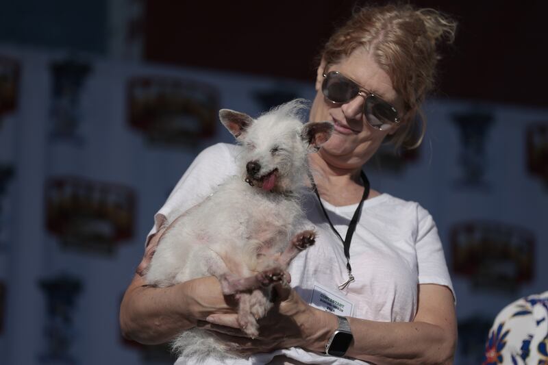 World’s Ugliest Dog contest: 14-year-old Daisy Mae, pictured with Elizabeth Whitehouse, finished in third place. Photograph: John G Mabanglo/EPA