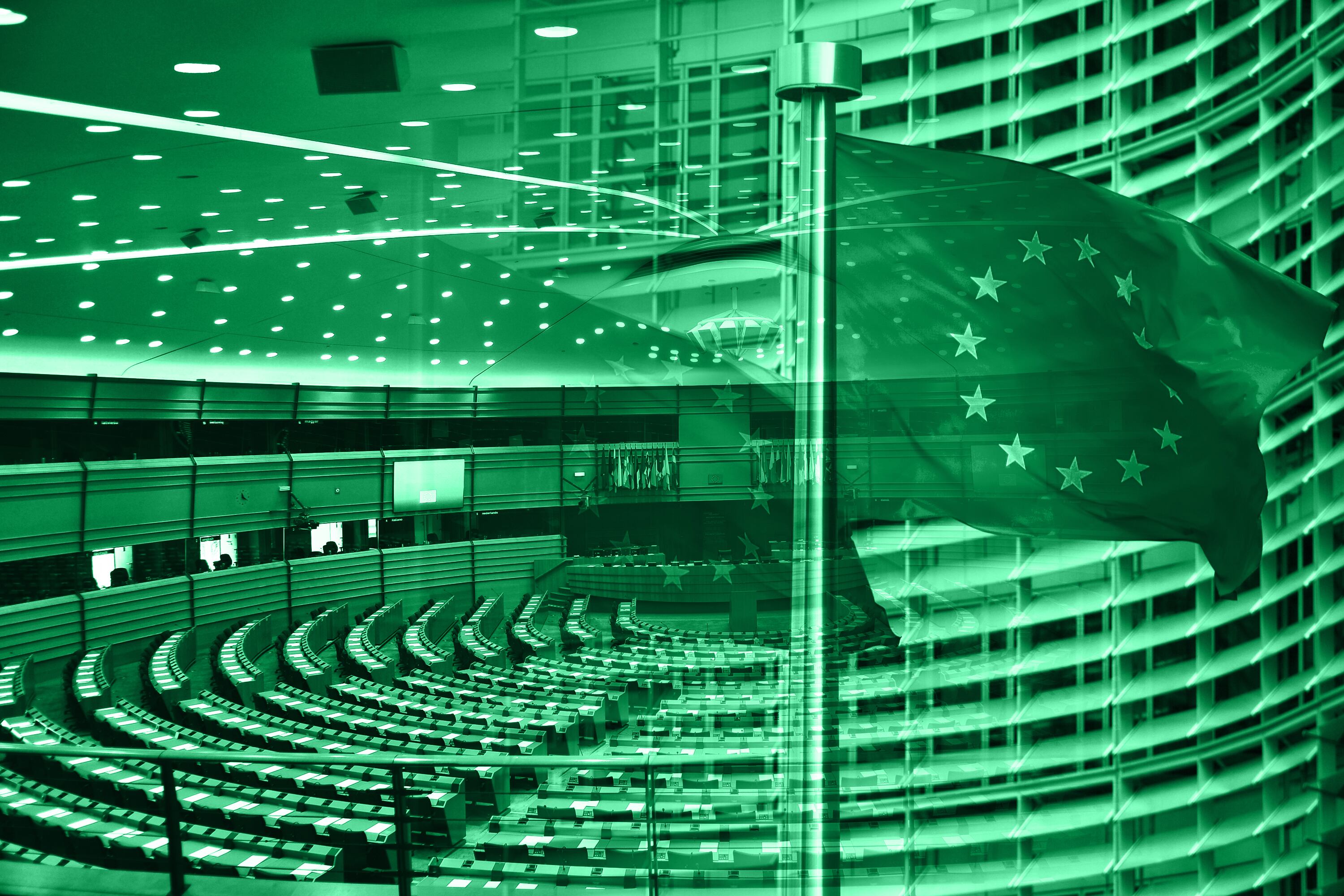 European Election: Ireland South results