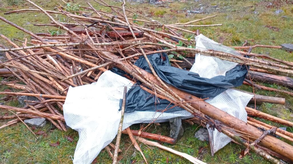Canes and poles for supporting flowers and plants piled up after being removed from the Merlin Community Garden in Co Galway