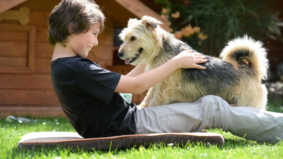 Evan and Max playing at home in Co Kildare. Photograph: Dara Mac Dónaill