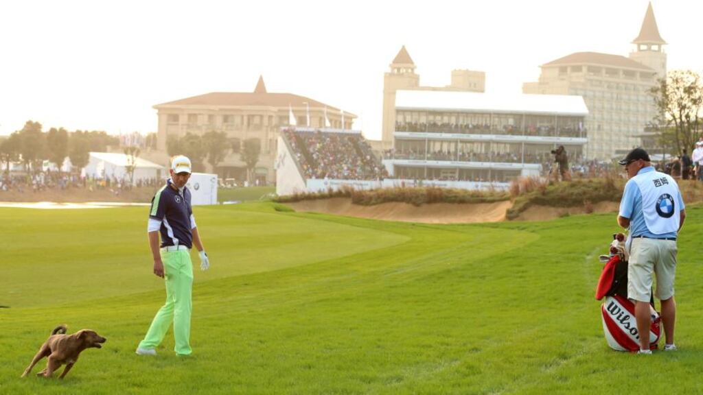 Eventual winner Marcel Siem of Germany and his caddie Guy Tilson are joined by a dog as he prepares to play his second shot on the 18th hole during the final round of the BMW Masters at Lake Malaren Golf Club in Shanghai, China. Photograph: Andrew Redington/Getty Images