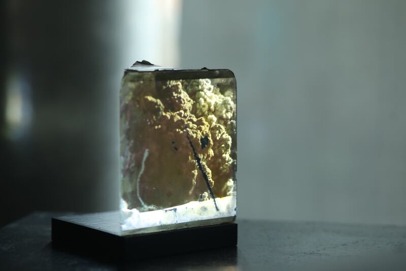 Study for a Volcano by Siobhán McDonald is a compelling piece that once again embraces the natural world.