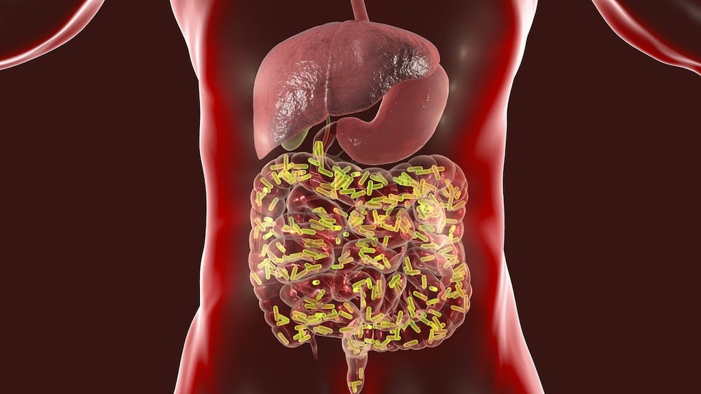 Findings of  a new study suggest that a gut microbiome that continually transforms as you get older is a sign of healthy ageing. Photograph: iStock