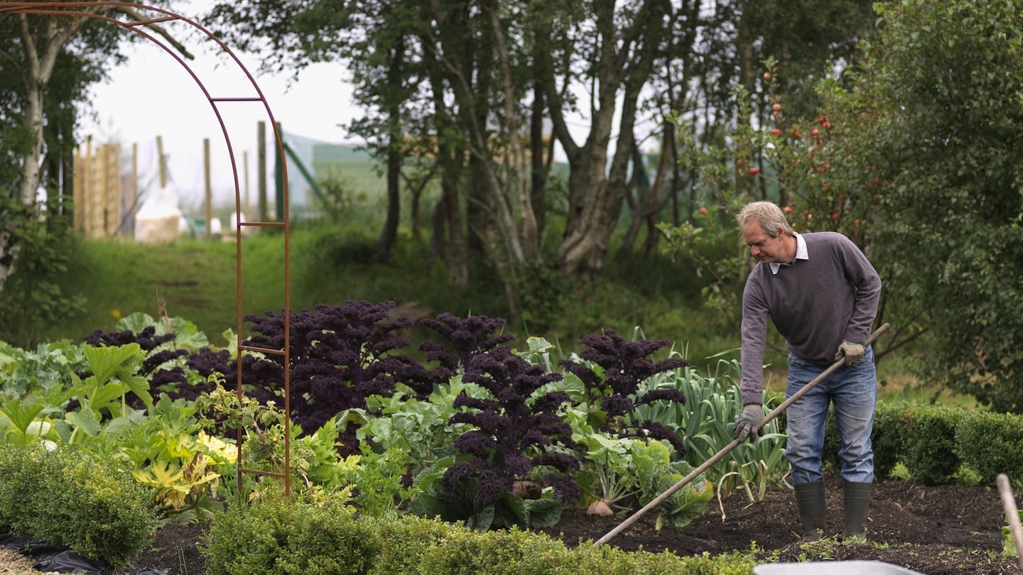 The organic gardener and author Klaus Laitenberger in his Leitrim garden. Photograph: Richard Johnston