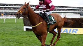 Going at Cheltenham the softest in over 20 years