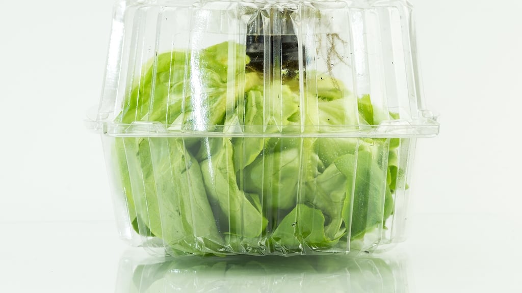 The best salads are made from leaves grown yourself or locally. Photograph: Getty