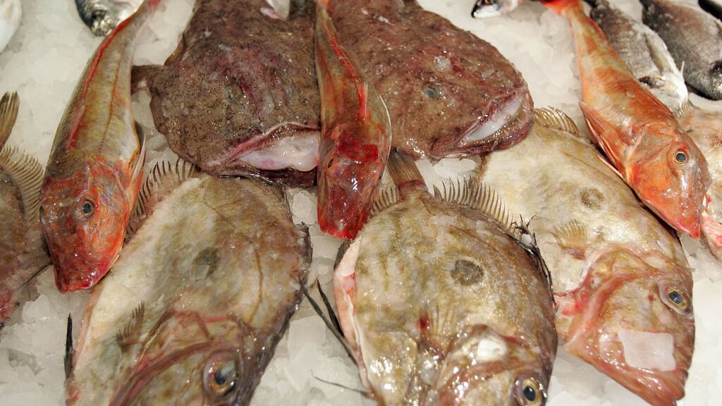 The European Union has agreed to put an end to decades of over-fishing and rebuild dwindling stocks by 2020, as part of a deal to overhaul the union’s fisheries policy. Photograph: Alan Betson/The Irish Times.