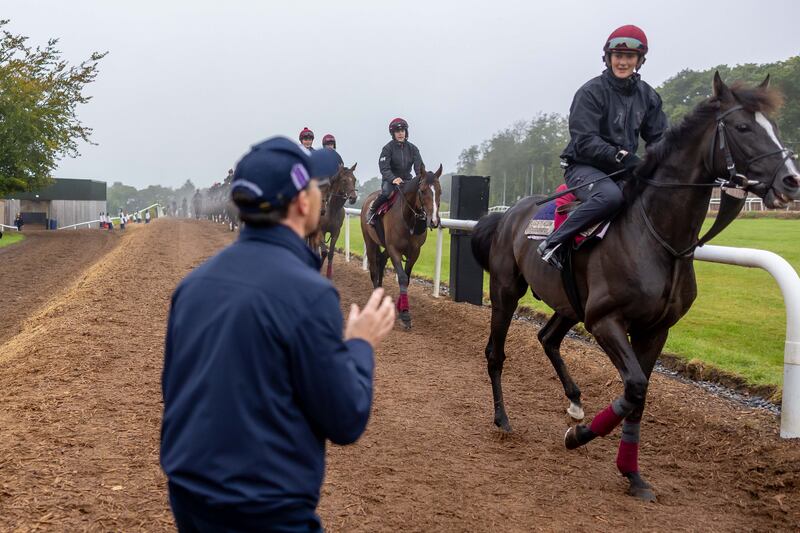 Rachel Richardson with Auguste Rodin during early morning work. Photograph: Morgan Treacy/Inpho