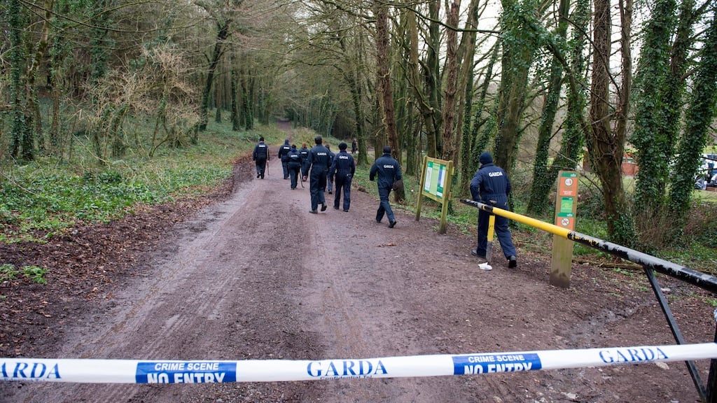 Gardaí conduct a search at Mitchell’s Wood, Castlemartyr, Co Cork. Photograph: Michael Mac Sweeney/Provision