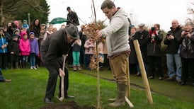 The many benefits of planting trees