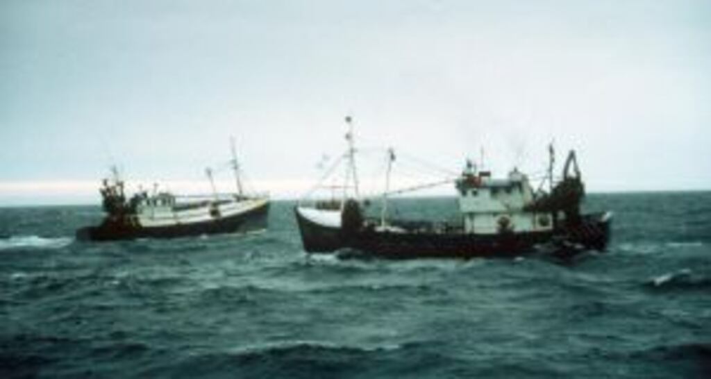 The new investment programme at Kilkeel Seafood division is designed to expand the processing operations specifically for wholetail scampi