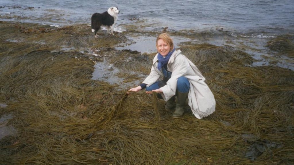 Dr Prannie Rhatigan will be out and about with a seaweed identification tour