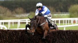 Cadmium justifies favouritism to book his Cheltenham ticket