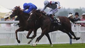 Jim Bolger’s Dawn Approach crowned king in St James’s Palace thriller