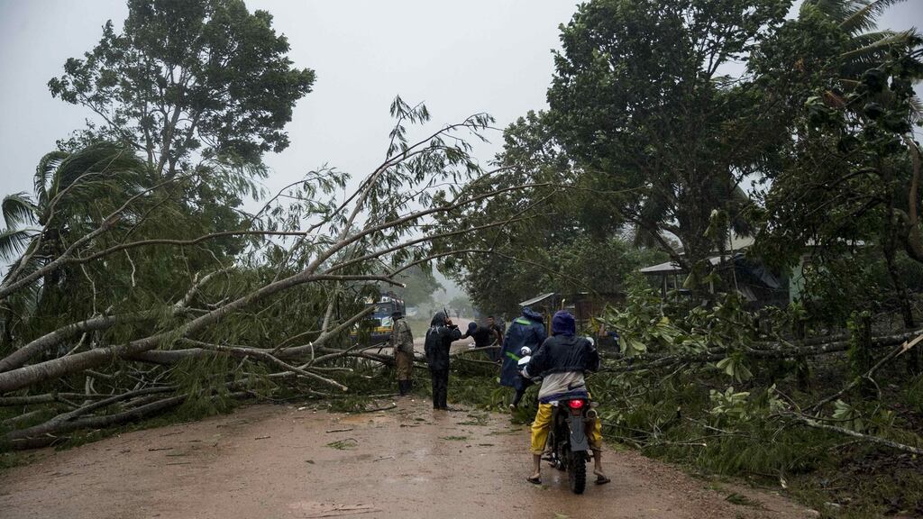A fallen tree due to the passage of Hurricane Eta is seen on the north Caribbean coast of Bilwi, Nicaragua. Photograph:Jorge Torres/EPA