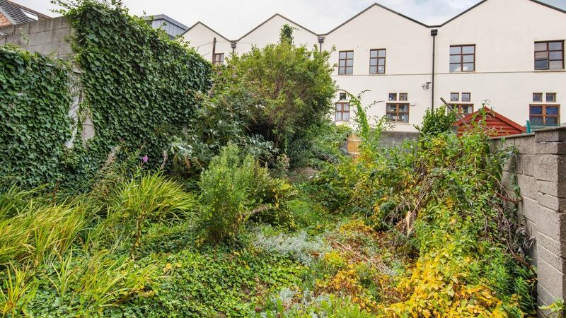 Rear garden  11 Pearse Square