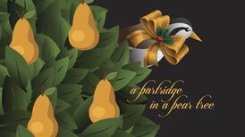 That’s Maths: How many gifts did my true love give to me overall?