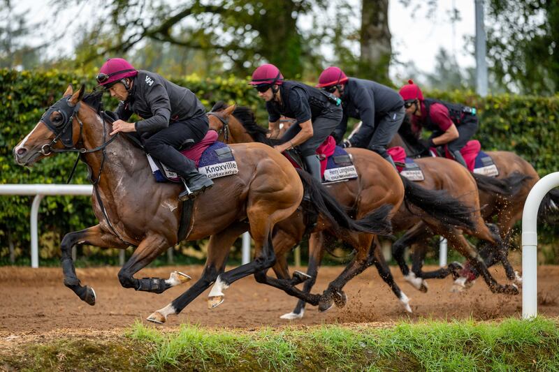 Trainer Aidan O’Brien’s horses during their morning work at Ballydoyle.
Photograph: Morgan Treacy/Inpho