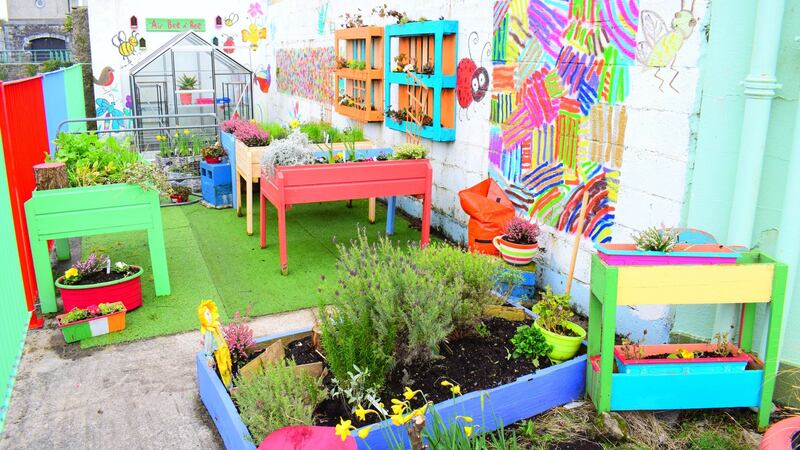 St Patrick’s School vertical garden after it was planted.