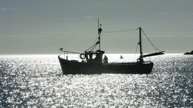 Whitefish fleet in crisis with boats tied up over quotas, says O’Donovan