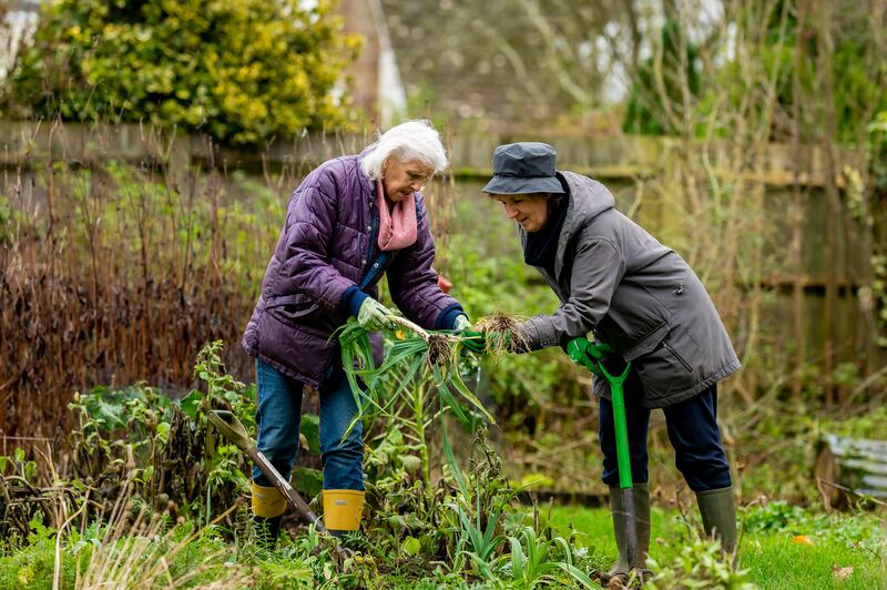 'Since the foundation of the Irish Gerontological Society life expectancy in Ireland has increased by nearly 20 years.' Photograph: David Tett