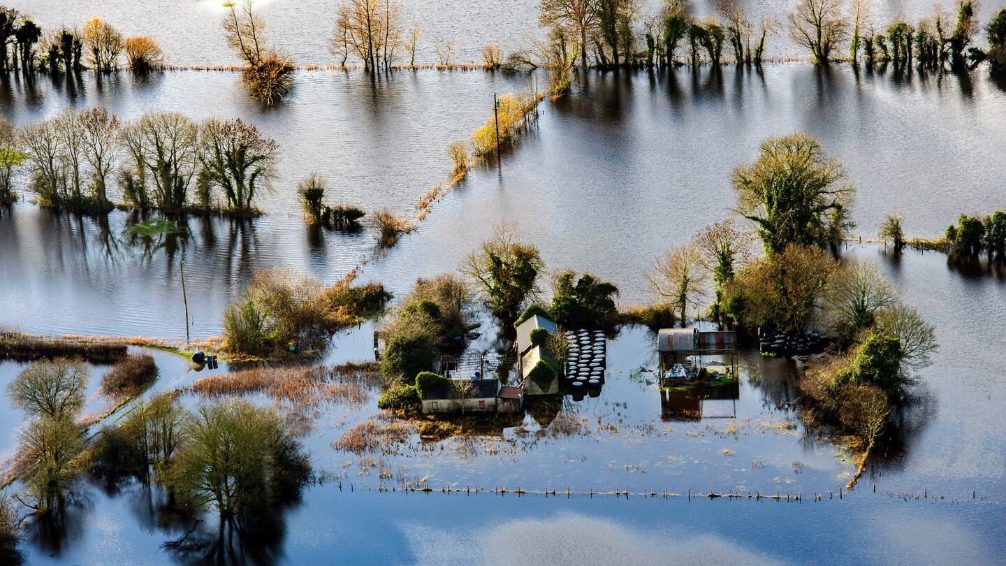 Flooding along the banks of the Shannon River near Athlone Town. Photograph: Brenda Fitzsimons/THE IRISH TIMES