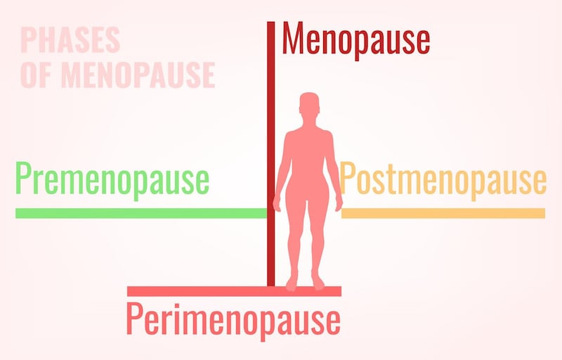 Stages of menopause. Premenopause, perimenopause and postmenopause. Simple medical infographic useful for an educational poster graphic design. Vector illustration.