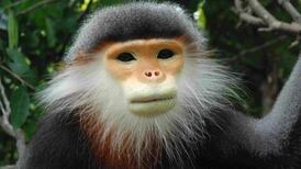 Grim times: Don’t expect science to save the planet