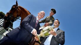 Overseas visitors increase 5.4% in first half of year