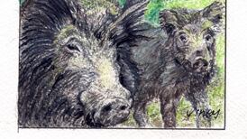 Another Life: Would rewilding wolves help curb bovine TB?