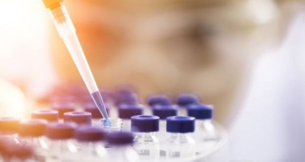 Reimbursement decisions in France and the UK led to revenue growth for one drug of 28.1 per cent in the first quarter of 2019 compared with a year earlier. Photograph: iStock