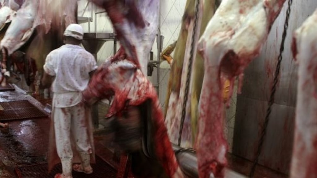 Meat produced here carries a “farm to fork” traceability guarantee, meaning that animals’ location should be tracked at all times from their birth through to slaughter, processing, and sale to consumers in supermarkets and butchers.