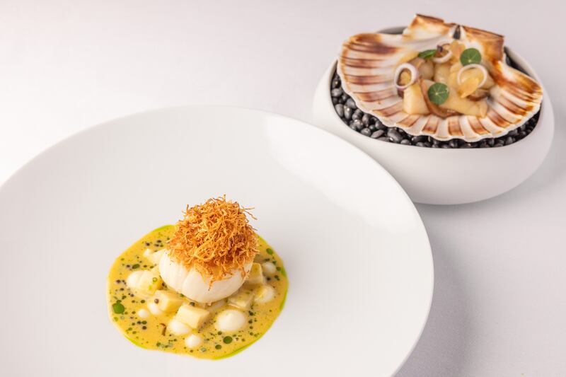 Irish scallops are glazed golden and draped with an opaque sheet of lardo