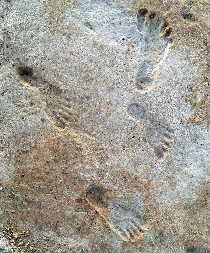 Fossilised human footprints that a White Sands National Park program manager first discovered. Photograph: Dan Odessa/ The New York Times