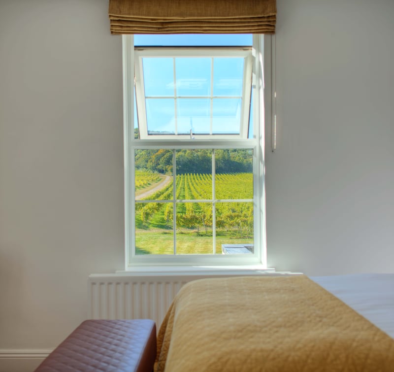 A view of the vineyards at Denbies Wine Estate in Dorking, Surrey.