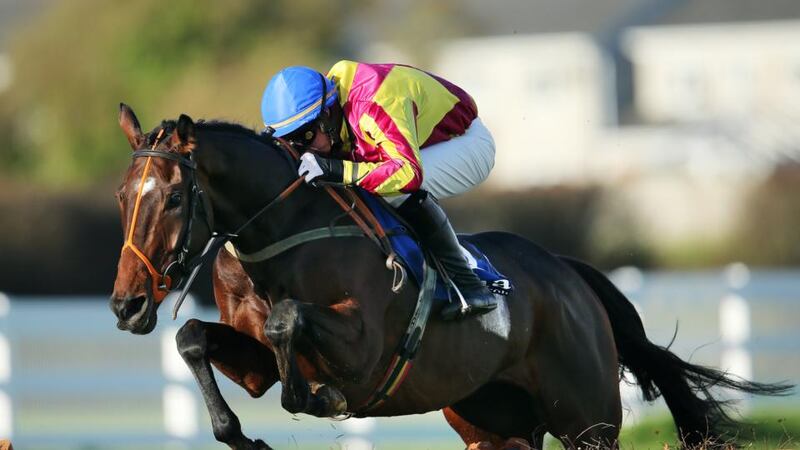 A Decent Excuse: has always promised to win a decent pot. Photograph: Cathal Noonan/Inpho