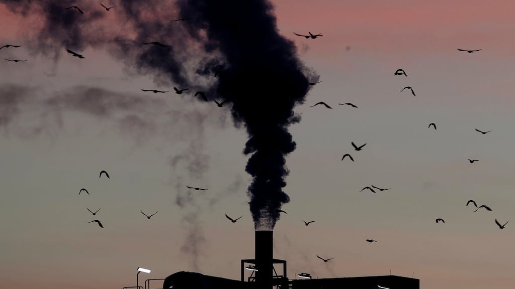 Development that has led to loss of habitat, climate change, overfishing, pollution and invasive species is causing a biodiversity crisis, scientists say in a new United Nations science report released on Monday. Photograph: Michael Probst/AP