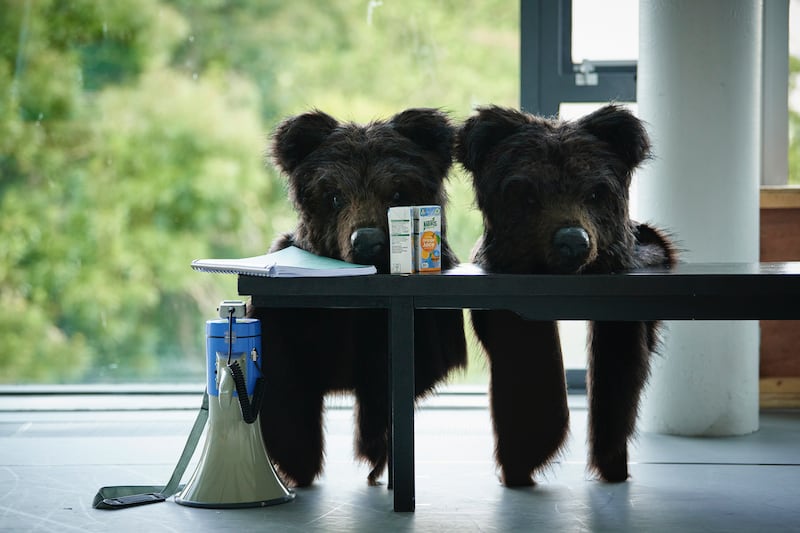 Hirsute suits during rehearsals. Photograph: Ros Kavanagh
