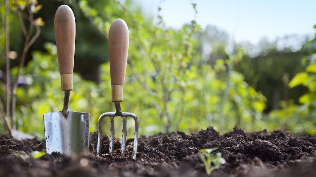 To say you don’t like gardening is like saying you don’t like nature or baby fawns or cute toddlers. It makes you a monster. Photograph: iStock