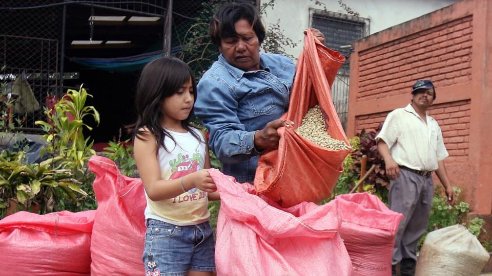 Workers fill sacks of coffee to be sold in Managua near a plantation in Jinotega, Nicaragua: Photograph: Susana Gonzalez/Bloomberg News.