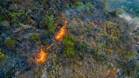 Parks and wildlife agency to deploy drones as firefighters’ eye in sky