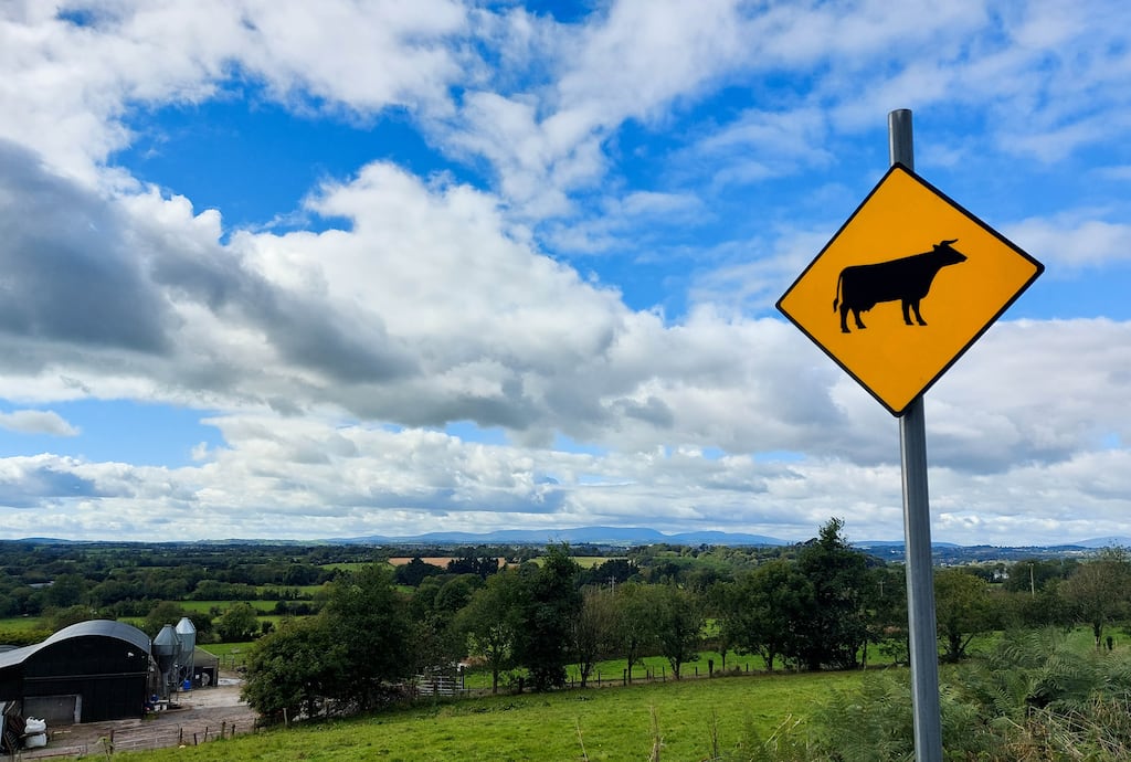 There is no immediate sign of the ban on Irish beef entering the Chinese market being lifted. Photograph: RollingNews.ie