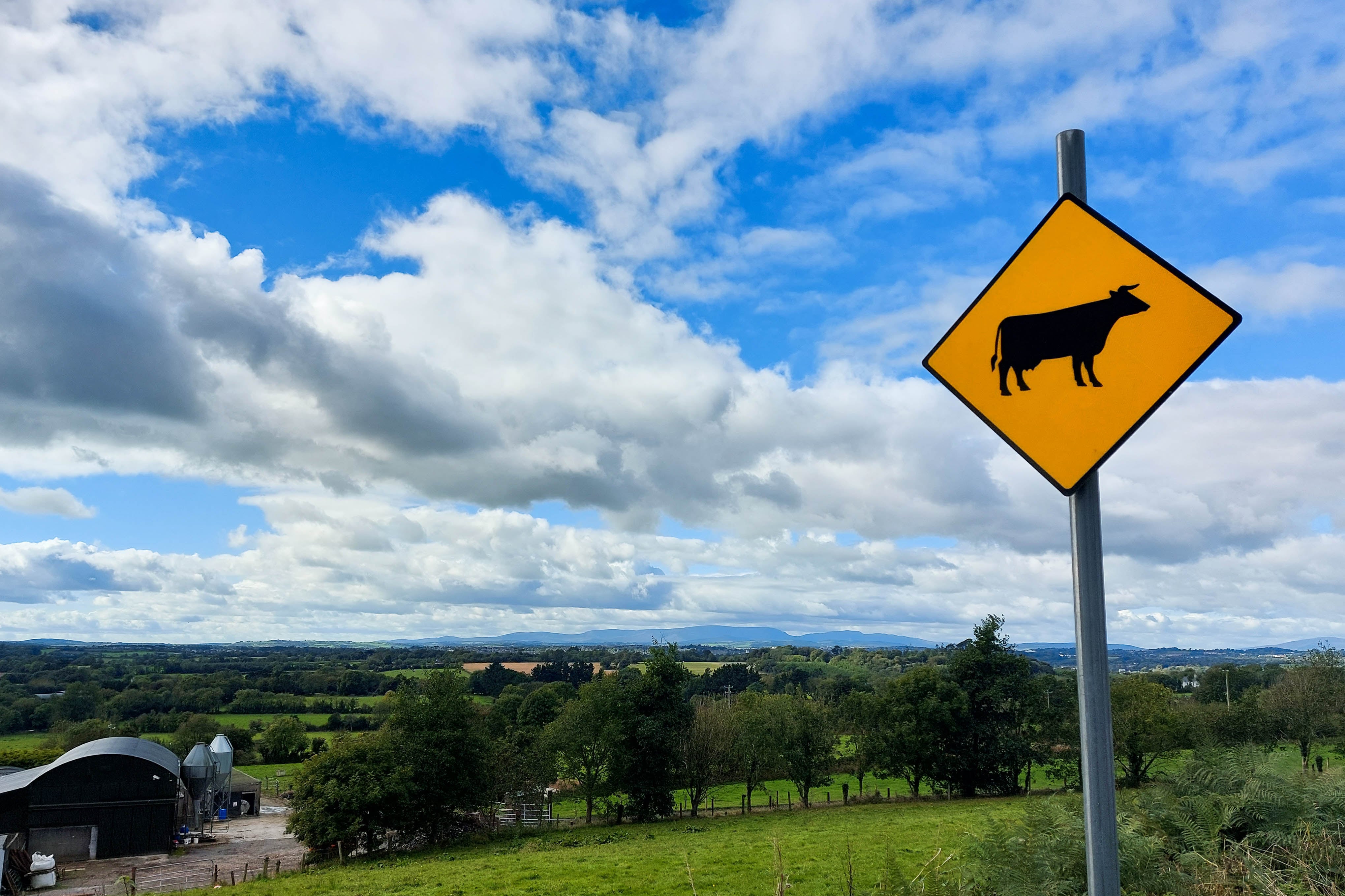 Progress made on return of Irish beef to Chinese market, Minister says