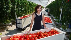 Focus on helping the vulnerable back to work